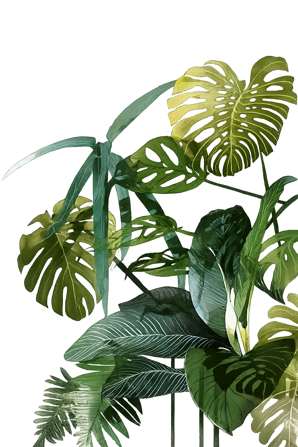 Decoración botánica izquierda superior